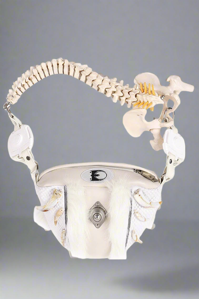 Silver bag with skeleton design on a white background