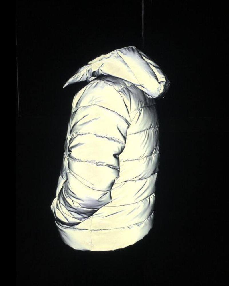 Reflective High-Tech Winter Coat -  urban style coat - Stylish Reflective High-Tech Winter Coat - View 7